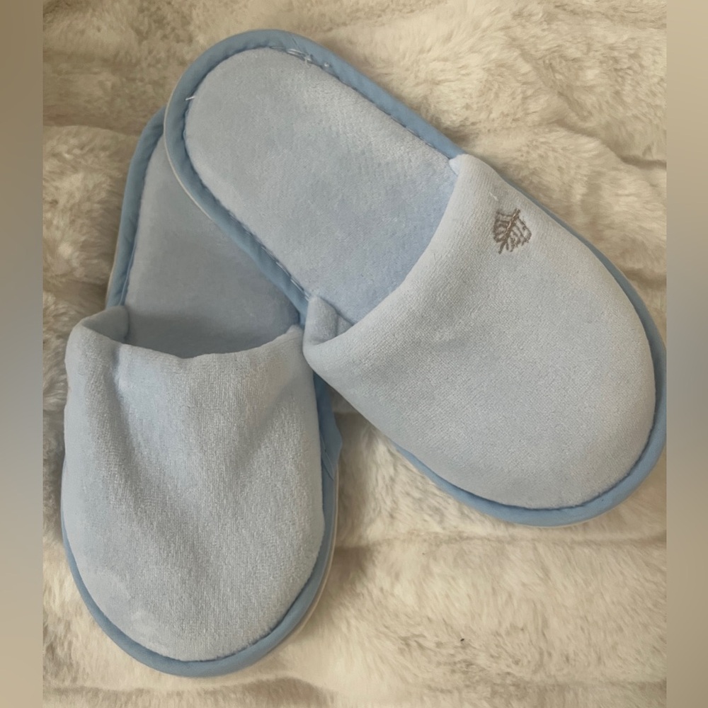 Four Seasons Plush Slippers in baby blue